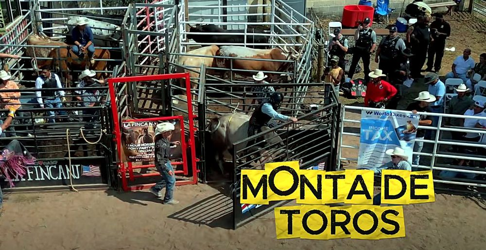 Monta de toros en La Finca